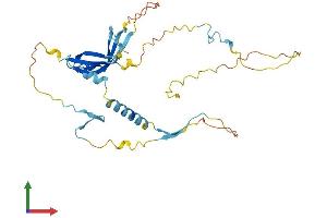 Protein Structure (PS) image for Solute Carrier Family 7, Member 6 Opposite Strand (SLC7A6OS) (AA 1-306) protein (His tag) (ABIN7558245)