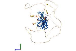 Protein Structure (PS) image for Synapsin I (SYN1) (AA 1-706) protein (His tag) (ABIN7562692)