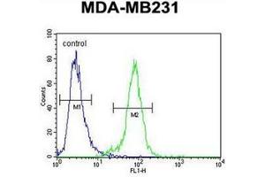 Flow cytometric analysis of MDA-MB231 cells using PDE12 Antibody (C-term) Cat. (PDE12 Antikörper  (C-Term))