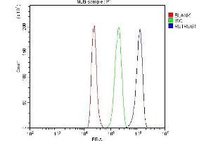 Flow Cytometry analysis of HL-60 cells using anti-RETREG1 antibody (ABIN7599962). (FAM134B Antikörper  (AA 131-446))