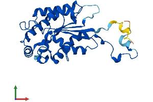 Protein Structure (PS) image for Isoamyl Acetate-Hydrolyzing Esterase 1 Homolog (IAH1) (AA 1-249) protein (His tag) (ABIN7561256)