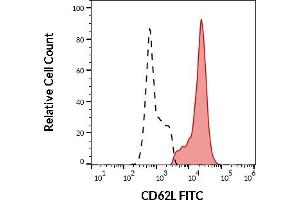 Separation of human CD62L positive lymphocytes (red-filled) from CD62L negative lymphocytes (black-dashed) in flow cytometry analysis (surface staining) of human peripheral whole blood stained using anti-human CD62L (LT-TD180) FITC antibody (20 μL reagent / 100 μL of peripheral whole blood). (L-Selectin Antikörper  (FITC))