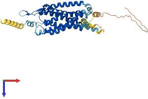 NMUR2 Protein (AA 1-415) (His tag)
