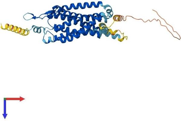 NMUR2 Protein (AA 1-415) (His tag)