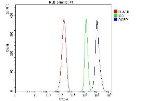 Flow Cytometry analysis of ANA-1 cells using anti-Ogfr antibody (ABIN7600657). (OGFR Antikörper  (AA 217-427))