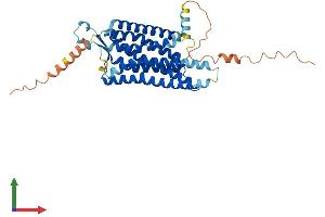 Protein Structure (PS) image for Neuropeptide Y Receptor Y1 (NPY1R) (AA 1-384) protein (His tag) (ABIN7549902)