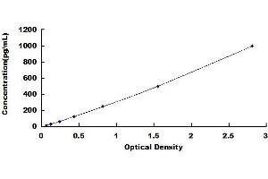 Typical standard curve (MSMB ELISA Kit)