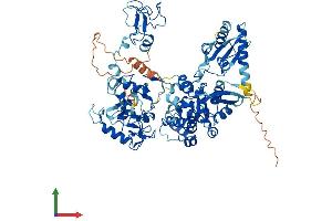 Protein Structure (PS) image for G2/M-Phase Specific E3 Ubiquitin Protein Ligase (G2E3) (AA 1-716) protein (His tag) (ABIN7557515)