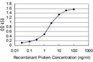 Detection limit for recombinant GST tagged BOLL is approximately 0. (BOLL Antikörper  (AA 185-283))