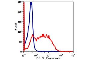 Image no. 2 for anti-Interleukin 2 Receptor, alpha (IL2RA) antibody (FITC) (ABIN2704227) (CD25 Antikörper  (FITC))