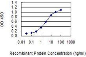 Detection limit for recombinant GST tagged GAST is 0. (Gastrin Antikörper  (AA 1-101))