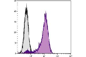 NIH/Swiss mouse fibroblast cell line 3T3 and mCD30-Ig transfected 3T3 cells were stained with Hamster Anti-Mouse CD30-PE.