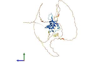 AlphaFold protein structure predicition of Human Recombinant FOXF1 Protein, UniprotID Q12946 (FOXF1 Protein (AA 1-379) (His tag))