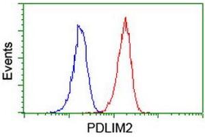 Image no. 3 for anti-PDZ and LIM Domain 2 (PDLIM2) antibody (ABIN1500127) (PDLIM2 Antikörper)