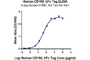 ELISA image for CD160 (CD160) (AA 25-158) protein (Fc Tag) (ABIN7274073)