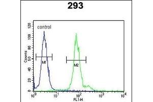 ID4 Antibody (N-term) (ABIN653935 and ABIN2843167) flow cytometric analysis of 293 cells (right histogram) compared to a negative control (left histogram). (ID4 Antikörper  (N-Term))