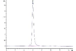 The purity of Human EGFR/HER1 is greater than 95 % as determined by SEC-HPLC. (EGFR Protein (AA 25-645) (His-Avi Tag))