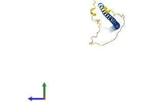 AlphaFold protein structure predicition of Human Recombinant ZNF767P Protein, UniprotID Q75MW2