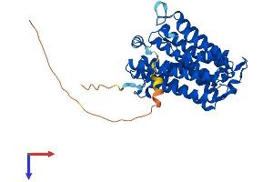 CEPT1 Protein (AA 1-416) (His tag)