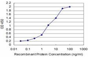 Detection limit for recombinant GST tagged SMAD5 is approximately 0. (SMAD5 Antikörper  (AA 105-182))