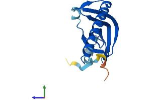 Protein Structure (PS) image for LSM1 Homolog, U6 Small Nuclear RNA Associated (LSM1) (AA 1-133) protein (His tag) (ABIN7549117)