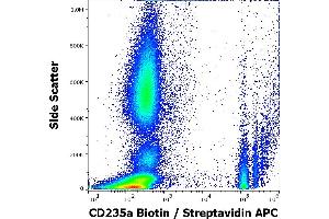 Flow cytometry surface staining pattern of human peripheral whole blood stained using anti-human CD235a (JC159) Biotin antibody (concentration in sample 5 μg/mL, Streptavidin APC). (CD235a/GYPA Antikörper  (Biotin))