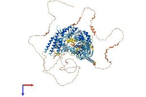 AlphaFold protein structure predicition of Mouse Recombinant Sbno2 Protein, UniprotID Q7TNB8