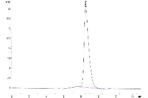 Size-exclusion chromatography-High Pressure Liquid Chromatography (SEC-HPLC) image for Glycoprotein VI (Platelet) (GP6) (AA 22-265) protein (His tag) (ABIN7274761)