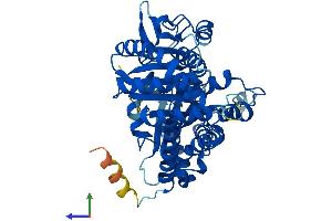 Protein Structure (PS) image for Tubulin, beta 2A (TUBB2A) (AA 1-445) protein (His tag) (ABIN7558215)