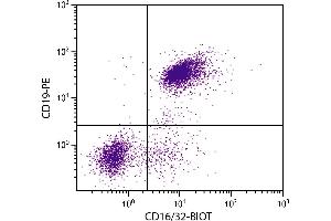 BALB/c mouse splenocytes were stained with Rat Anti-Mouse CD16/32-BIOT. (CD32/CD16 Antikörper  (Biotin))