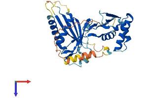 CENPL Protein (AA 1-329) (His tag)