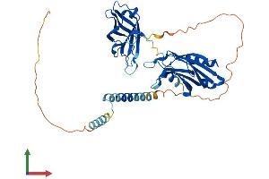 Protein Structure (PS) image for Synaptotagmin I (SYT1) (AA 1-422) protein (His tag) (ABIN7555672)
