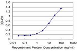 Detection limit for recombinant GST tagged HOXA5 is approximately 0. (HOXA5 Antikörper  (AA 171-270))