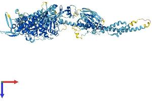Myosin IA Protein (MYO1A) (AA 1-1043) (His tag)
