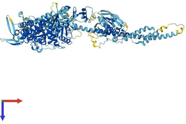 Myosin IA Protein (MYO1A) (AA 1-1043) (His tag)