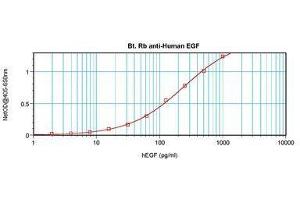 Image no. 1 for anti-Epidermal Growth Factor (EGF) antibody (Biotin) (ABIN465856) (EGF Antikörper  (Biotin))