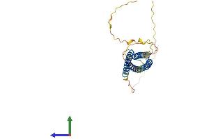 Protein Structure (PS) image for Regulator of G Protein Signaling 7 Binding Protein (RGS7BP) (AA 1-257) protein (His tag) (ABIN7558821)