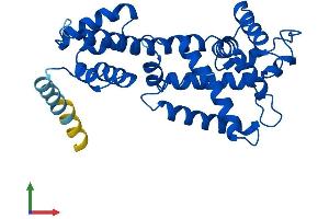 Protein Structure (PS) image for ELMO/CED-12 Domain Containing 2 (ELMOD2) (AA 1-293) protein (His tag) (ABIN7547378)
