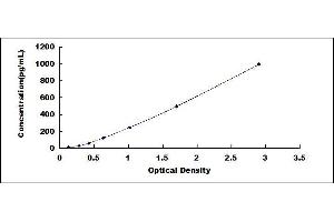 ELISA image for Osteocalcin (BGLAP) ELISA Kit (ABIN416281)