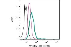 Cell surface detection of 5-Hydroxytryptamine receptor 1B by direct flow cytometry in live intact human  monocytic leukemia cell line: + Rabbit IgG Isotype Control-ATTO 488 (ABIN7582041). (5HT1B Receptor Antikörper  (Extracellular) (Atto 488))