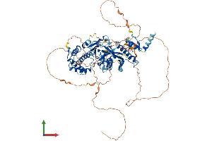 Protein Structure (PS) image for Tubulin tyrosine Ligase-Like Family, Member 3 (TTLL3) (AA 1-772) protein (His tag) (ABIN7555888)