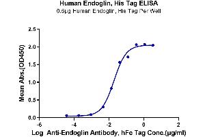 Immobilized Human Endoglin at 5 μg/mL (100 μL/well) on the plate.