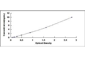 Typical standard curve (CYBB ELISA Kit)