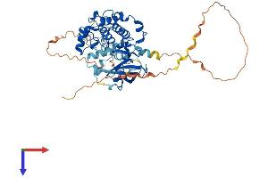 RPS6KB2 Protein (AA 1-482) (His tag)
