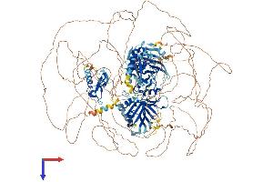 ZFYVE16 Protein (AA 1-1539) (His tag)