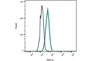 Direct flow cytometry of α-Conotoxin GI in live intact human AC16 cells. (alpha-conotoxin GI peptide (FITC))