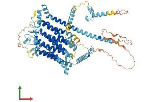 Protein Structure (PS) image for Transmembrane Channel-Like 8 (TMC8) (AA 1-722) protein (His tag) (ABIN7558221)