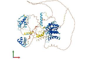 Protein Structure (PS) image for Myb-Like, SWIRM and MPN Domains 1 (MYSM1) (AA 1-828) protein (His tag) (ABIN7554642)