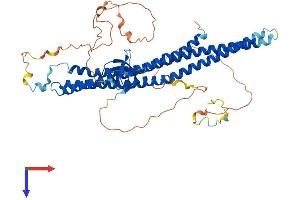 BAIAP2L1 Protein (AA 1-514) (His tag)
