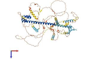 NFE2L1 Protein (AA 1-741) (His tag)